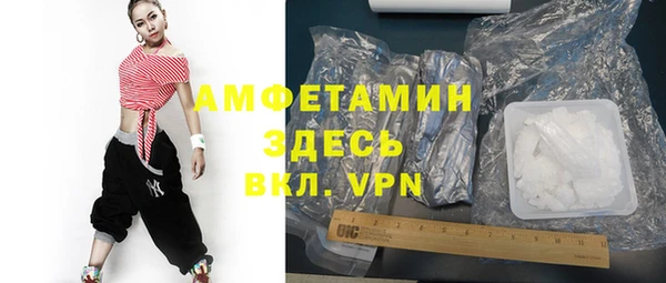 сатива Козельск