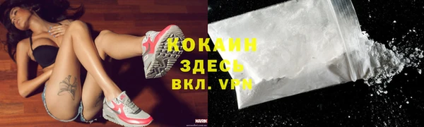 сатива Козельск