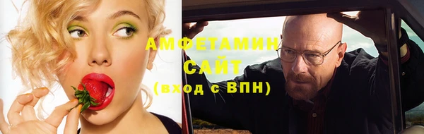сатива Козельск