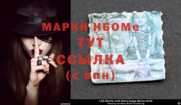 сатива Козельск