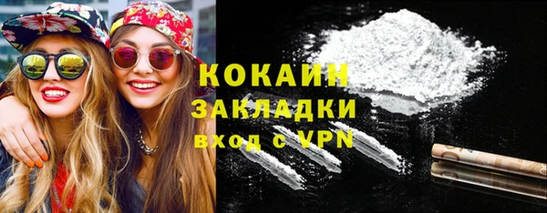 сатива Козельск