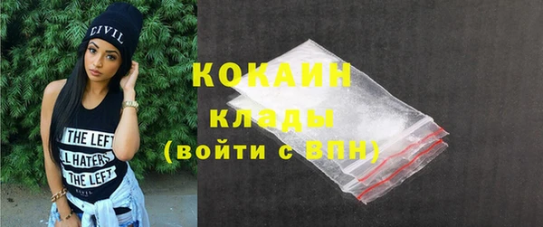 сатива Козельск