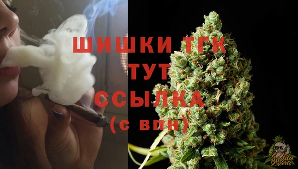 дмт Козловка