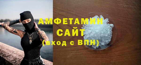 сатива Козельск