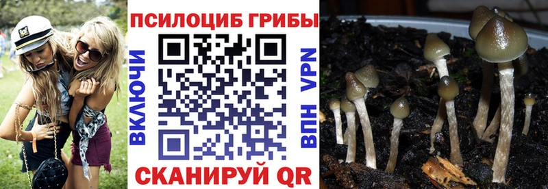 Галлюциногенные грибы MAGIC MUSHROOMS  Купить  Гай 