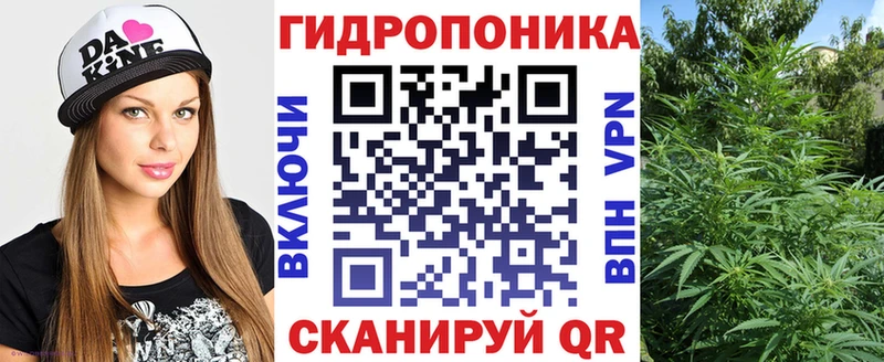Купить  Гай  Марихуана гибрид 